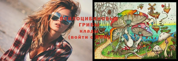 Альфа ПВП Михайлов