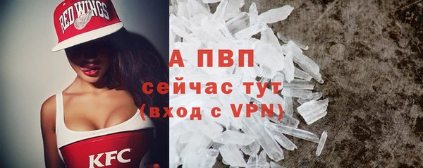 СК Михайловск
