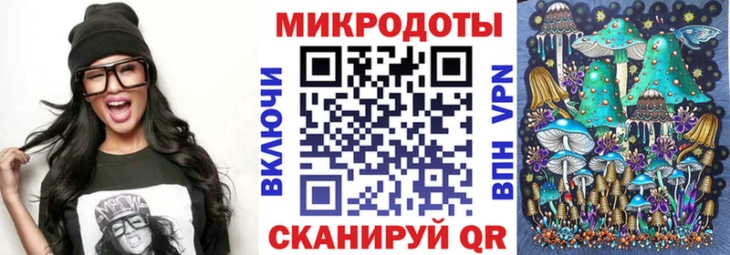 где купить   Королёв  Псилоцибиновые грибы мицелий 